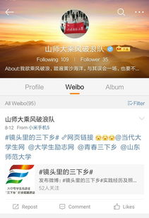 乘風破浪，探索未來——山東師范大學乘風破浪隊基于互聯網視角的農產品食品銷售模式創新研究